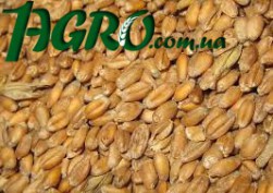 1agro.com.ua