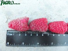1agro.com.ua