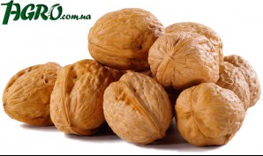 1agro.com.ua