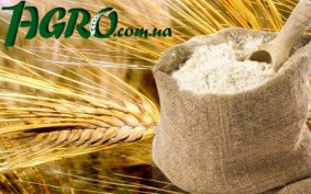 1agro.com.ua
