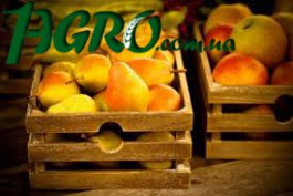 1agro.com.ua