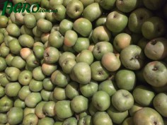 1agro.com.ua