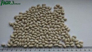 1agro.com.ua