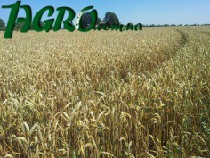1agro.com.ua