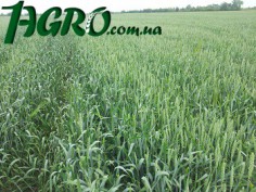 1agro.com.ua