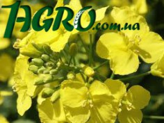1agro.com.ua