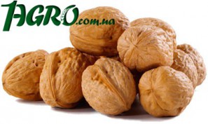 1agro.com.ua