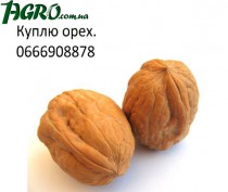 1agro.com.ua