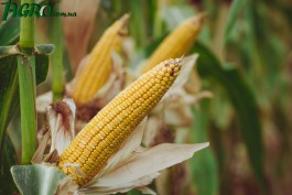1agro.com.ua