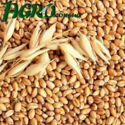 1agro.com.ua
