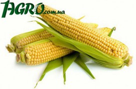 1agro.com.ua