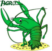 1agro.com.ua