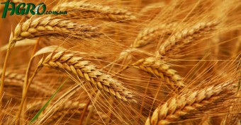 1agro.com.ua