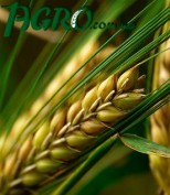 1agro.com.ua