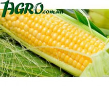 1agro.com.ua