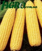 1agro.com.ua