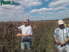 1agro.com.ua