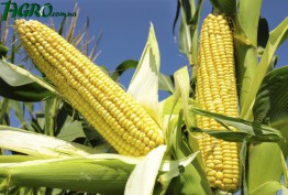 1agro.com.ua