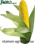 1agro.com.ua