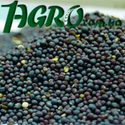 1agro.com.ua