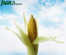 1agro.com.ua