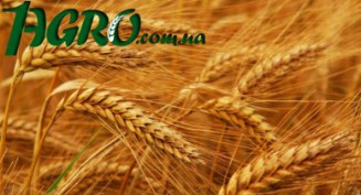 1agro.com.ua