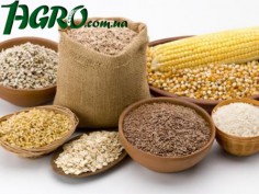 1agro.com.ua