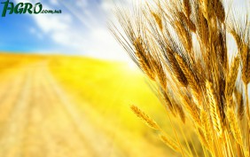 1agro.com.ua