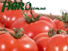 1agro.com.ua