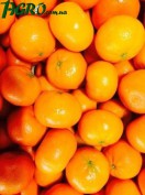 1agro.com.ua