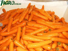 1agro.com.ua