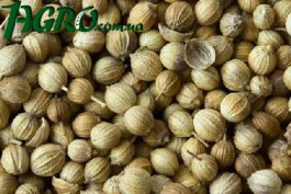 1agro.com.ua
