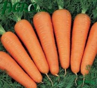 1agro.com.ua