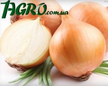 1agro.com.ua