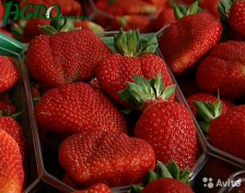 1agro.com.ua