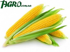 1agro.com.ua