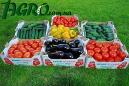 1agro.com.ua