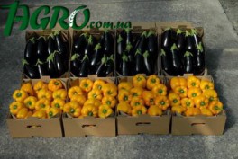1agro.com.ua