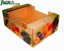 1agro.com.ua