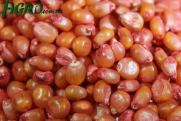 1agro.com.ua