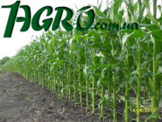 1agro.com.ua