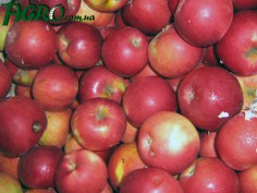 1agro.com.ua