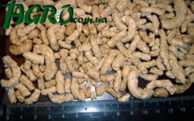1agro.com.ua