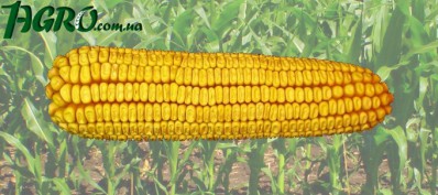 1agro.com.ua