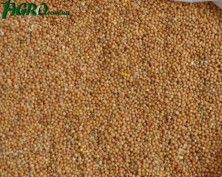 1agro.com.ua