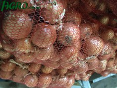 1agro.com.ua