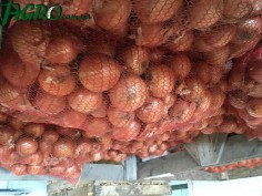 1agro.com.ua
