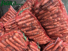 1agro.com.ua