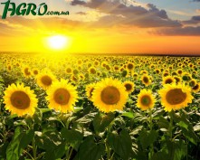 1agro.com.ua