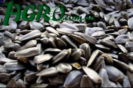 1agro.com.ua